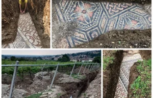 Mozaiki z rzymskiej willi odkryte pod winnicą we Włoszech (GALERIA)