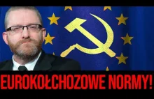 Braun o eurokołchozowej nowomowie: "ZUS, Urzędy Skarbowe..."