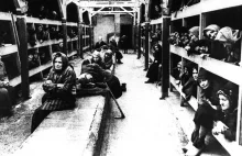 Musiał: w niepamięć poszło, że obóz KL Auschwitz został założony dla Polaków
