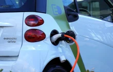 Fior: Elastyczny łańcuch dostaw i konsumenci ratują elektromobilność