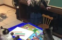 Młoda nauczycielka prowadzi lekcję plastyki dla kotów