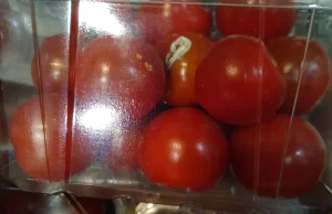 Pleśniejące pomidory z Holandii udają polskie. Zmieniono holenderskie napisy na.