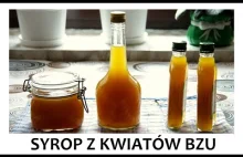 Syrop z kwiatów Czarnego Bzu Przepis, Właściwości, Ciekawski, Badania,...