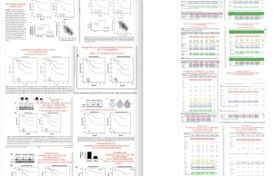 Afera w biologii/medycynie: co najmniej 8 prac z takimi samymi wynikami