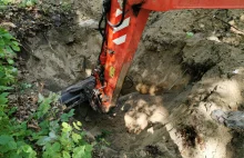 Na terenie ośrodka wychowawczego w Rewalu znaleziono kości wychowanków.