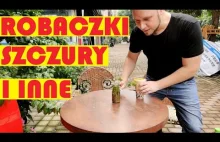 KARALUCHY W CHINACH I MIESZKANIA 02 | KRYZYS GOSPODARCZY