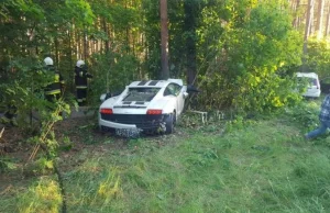 Lamborghini Gallardo i Ford Fiesta rozbite na przydrożnych drzewach