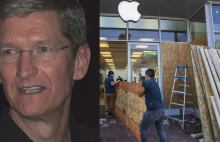 Szef Apple do pracowników: Stwórzmy lepszy, bardziej sprawiedliwy świat