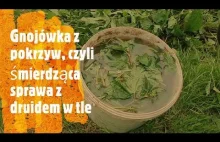 Gnojówka z pokrzyw, czyli śmierdząca sprawa z druidem w tle