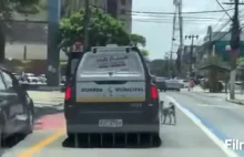 Pies biegnie za radiowozem w którym znajduje się zatrzymany właściciel