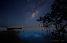 Droga Mleczna i bioluminescencja na jednym zdjęciu