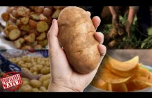 How Did Potatoes Get So Popular? - #PropagandaWatch