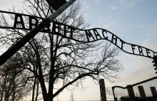 „Stacja końcowa Auschwitz”. O lekarzu, który rozpoznał syndrom obozowy