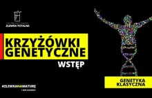 KRZYŻÓWKI GENETYCZNE [WSTĘP] - Genetyka klasyczna