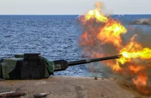 Fińska artyleria nadbrzeżna w akcji