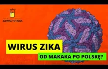 WIRUS ZIKA - OD MAKAKÓW DO POLSKI?