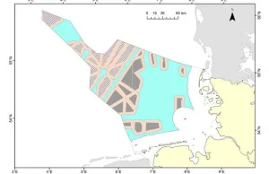 Niemcy chcą 40 GW offshore w 2040 roku. Ekolodzy martwią się o ptaki
