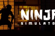 Ninja Symulator od polaków zapowiedziany