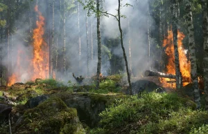 Europa zapłonie? Komisja Europejska przewiduje pożary na dużą skalę