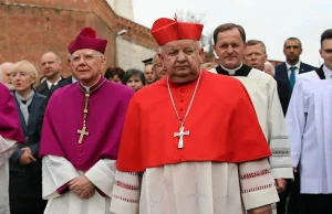 Terlikowski: Polscy biskupi wybrali drogę do zniszczenia Kościoła
