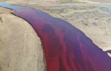 Rzeka niczym barszcz czerwony. Olbrzymia katastrofa ekologiczna w Arktyce