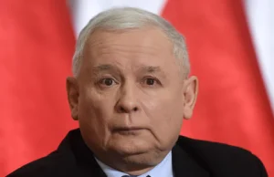 Kancelaria obsługująca Kaczyńskiego reprezentowała Zatokę Sztuki