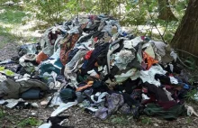 Lasy toną w śmieciach. Leśnicy zachęcają do udziału w akcji