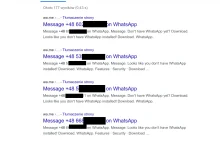 » WhatsApp “wycieka” numery swoich użytkowników przez Google