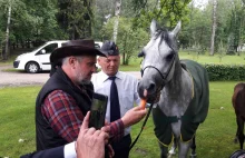 Konie w Janowie Podlaskim dostawały zapleśniałą paszę. Minister rolnictwa...