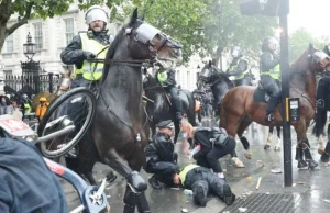 27 policjantów rannych podczas wielkiego pokojowego antyrasistowskiego protestu