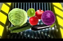 Shredder Vs Fruits and vegetables! Scientific Experiments with Shredder...