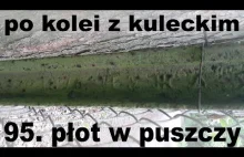 Po kolei z Kuleckim - Odcinek 95 - Płot w puszczy