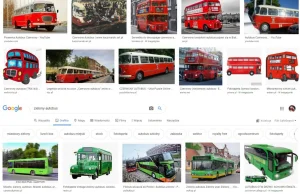 Anty-biały rasizm w wyszukiwarce grafiki Google | Monitor Postępu