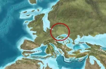 Polska z palmami i ciepłym morzem. Naukowcy odtworzyli mapę sprzed 20 mln lat