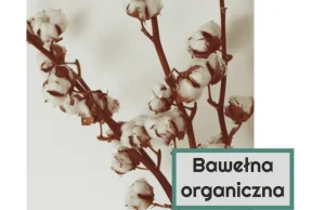 bawełna organiczna - to dobry wybór dla twojego ciała