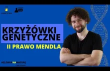 II PRAWO MENDLA - KRZYŻÓWKI GENETYCZNE