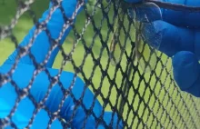 Uwalnianie ważki, która utknęła w siatce od trampoliny ogrodowej
