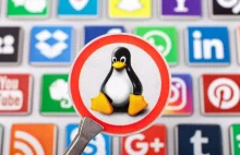 Linux 5.8 w drodze. Linus Torvalds zapowiada mnóstwo zmian