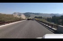 Stado bizonów biegnących przez most w parku Yellowstone