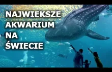 Największe akwarium na świecie