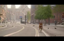 Pies spaceruje po pustych ulicach Amsterdamu