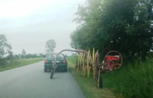 za golfem ciągnął... przetrząsarko-zgrabiarkę