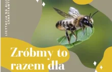 „Zróbmy to razem dla pszczół”. Kampania na rzecz pszczół