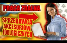 Praca zdalna - sprzedawca w "sklepie zoologicznym" - 3200 na rękę