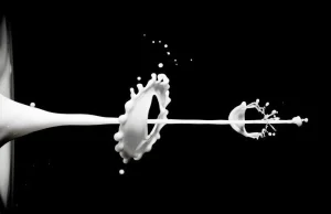 Czy warto pić mleko? Właściwości zdrowotne i przeciwskazania