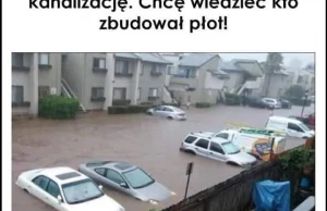 Szczelny płot