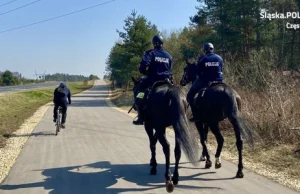 Pościg ulicami Częstochowy. Funkcjonariusze jechali… konno