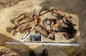 Warszawa: IPN odnalazł ludzkie szczątki na terenie dawnego więzienia Toledo