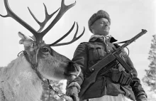 Aimo Koivunen: The Finnish Soldier that Survived Everything