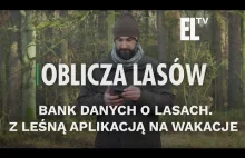 Bank Danych o Lasach. Z leśną aplikacją na wakacje | OBLICZA LASÓW #105